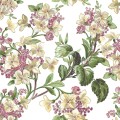 Tapeta Coordonne 8800040 Flowery Metamorphosis