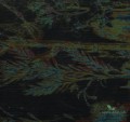 Tapeta polne kwiaty Arte 29540 Wildflower Lush