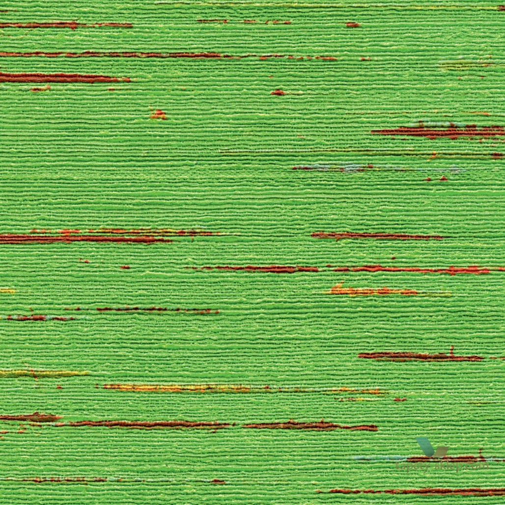 541f51ff34942071496698ec6c870aec