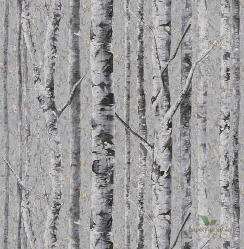 Tapeta KT Exclusive FJ41609 Birch Sanctuary
