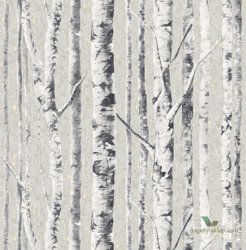 Tapeta KT Exclusive FJ41610 Birch Sanctuary
