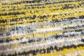 Żółto Niebieski Dywan Louis De Poortere w Paski - BLUE YELLOW MIX 8873