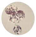Filoletowo Beżowy Dywan Ted Baker Okrągły - TRANQUILITY ROUND BEIGE 56001