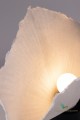 Lampa stołowa Tropez Nature 121020 Globen