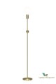 Lampa stojąca Astrid Brushed brass 202965 Globen