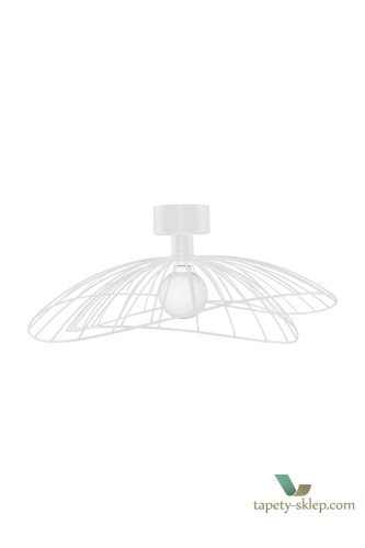 Lampa sufitowa/Kinkiet Ray White 268008 Globen