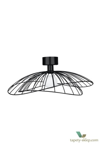 Lampa sufitowa/Kinkiet Ray Black 268011 Globen