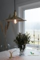 Lampa wisząca Disc Brushed Brass 452665 Globen