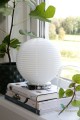 Lampa stołowa Summer White 629508 Globen