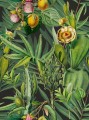 Tapeta Mind the Gap WP20518 Luscious Flora