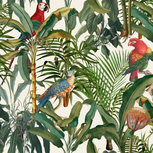 Tapeta Mind the Gap WP20521 Parrots Of Brasil