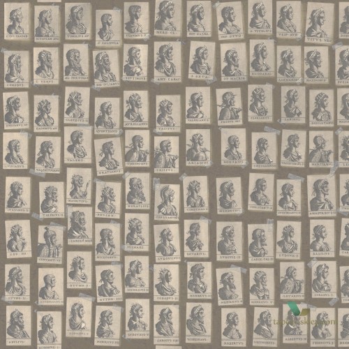 Tapeta Mind the Gap WP20416 Emperors Taupe