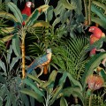 Tapeta Mind the Gap WP20522 Parrots Of Brasil Anthracite