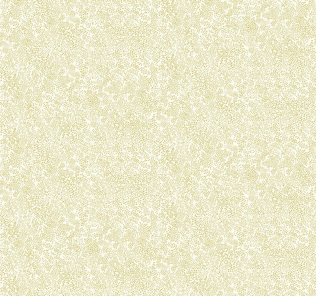 bb1dba93b58c9c3a3b03094b237e86cd
