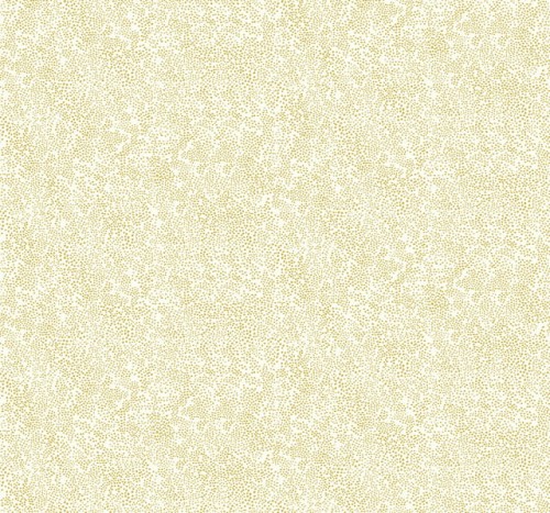 Tapeta York Wallcoverings RI5112 Champagne Dots Rifle Paper Co.