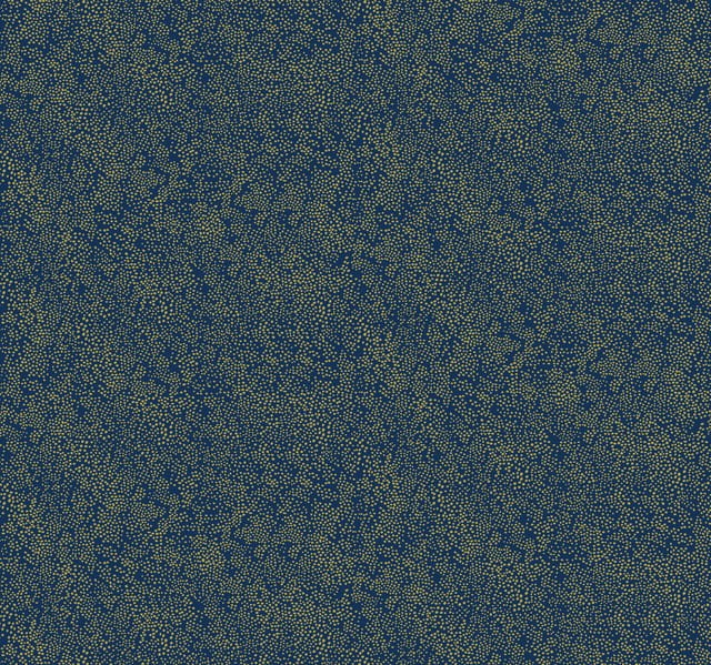 07145da3c59fd907de9d8ea85e02a509