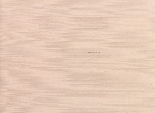 Tapeta York Wallcoverings RI5183 Palette Rifle Paper Co.