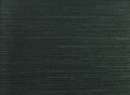 Tapeta York Wallcoverings RI5187 Palette Rifle Paper Co.
