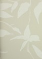 Tapeta w liście York Wallcoverings AF6509 Persimmon Leaf Tea Garden