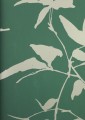 Tapeta w liście York Wallcoverings AF6513 Persimmon Leaf Tea Garden