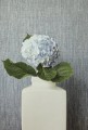 Tapeta Thibaut T3995 Artessa Weave Surface Resource