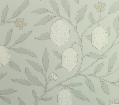 Tapeta Owoce Morris & Co. 216540 Pure Fruit Pure Morris North Wallpapers