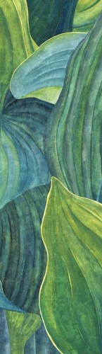 Mural liście Khroma DG2HOS1011 Hosta Aqua Wall Designs II