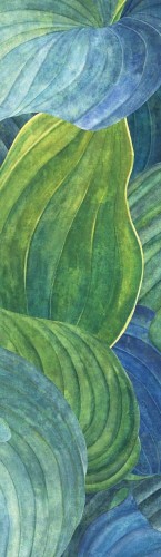 Mural liście Khroma DG2HOS1013 Hosta Aqua Wall Designs II