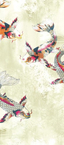 Mural ryby Koi Khroma DG2PON1012 Pond Marigold Wall Designs II