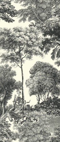 Mural las Khroma DG2SAL1012 Salcey Forest Wall Designs II