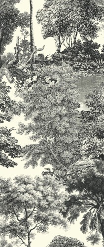 Mural las Khroma DG2SAL1014 Salcey Forest Wall Designs II