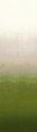 Mural cieniowany Khroma DG2SHA103 Shady Field Wall Designs II