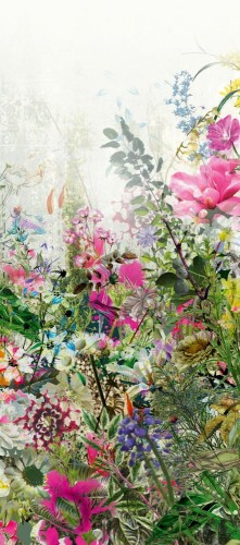 Mural łąka Khroma DG2VIV1012 Vivid Florar Wall Designs II