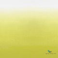Mural Designers Guild P600/03 Saraille