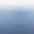 Mural Designers Guild P600/09 Saraille