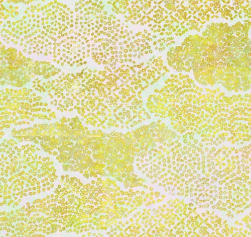 Tapeta Chmury Elitis TP28801 Bienfaisante Méditation Soleil Levant