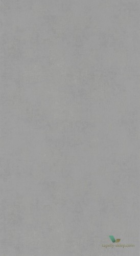 Tapeta imitująca beton Casadeco 80839333 Prague Stone