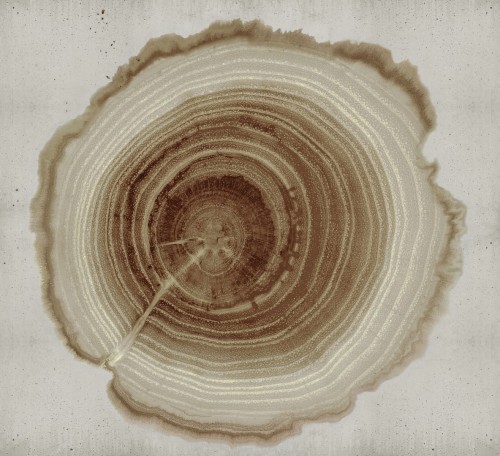 Tapeta Wall&Deco WDEE2102 Tree Of Life Contemporary 2021