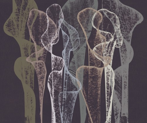 Tapeta Wall&Deco WDTR2102 String Pull Contemporary 2021