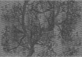 Tapeta na elewacje Wall&Deco OUT_WP1901 Woodpecker