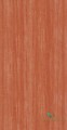 Tapeta jak kora drzewa Casadeco 85983431 Eucalyptus Woods
