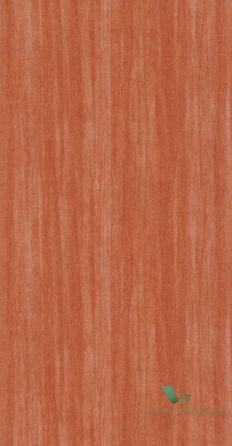 Tapeta jak kora drzewa Casadeco 85983431 Eucalyptus Woods