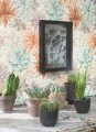 Tapeta Roślinna Casadeco BOTA85916585 Echeveria Botanica