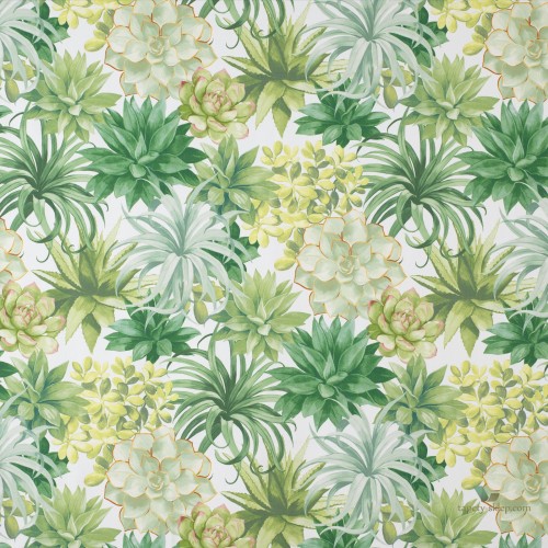 Tkanina Casadeco BOTA86117479 Echeveria Botanica