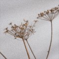 Tapeta Jodełka Caselio CVR102221000 Unis Mats Chevron