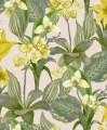 Tapeta Kwiaty Orchidei Decoprint BR24082 Orchidea Breeze