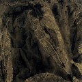 Tapeta Inkiostro Bianco INKSNAI2101 Sahel ART-AI