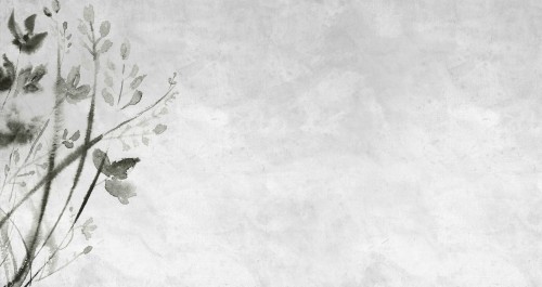 Fototapeta pod prysznic WET_SH1502 Shoko Wall and Deco