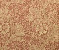 Tapeta Kwiaty Aksamitki Morris & Co. 216844 Marigold Compilation