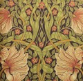Tapeta Kwiaty i Liście Morris & Co. 216852 Pimpernel Compilation